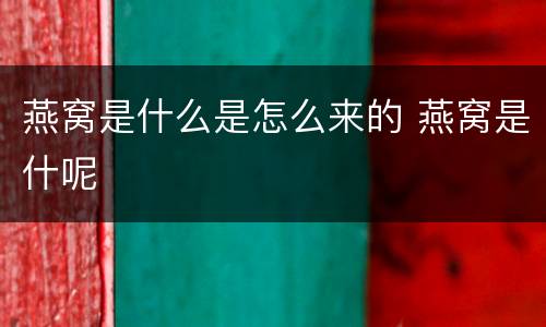 燕窝是什么是怎么来的 燕窝是什呢