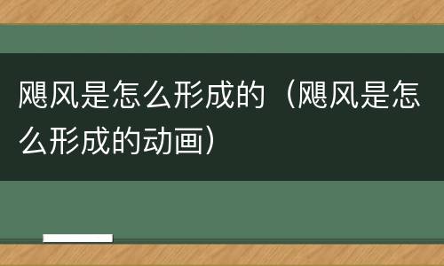 飓风是怎么形成的（飓风是怎么形成的动画）