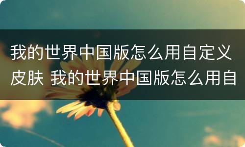 我的世界中国版怎么用自定义皮肤 我的世界中国版怎么用自定义皮肤模组