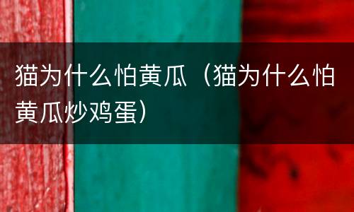 猫为什么怕黄瓜（猫为什么怕黄瓜炒鸡蛋）