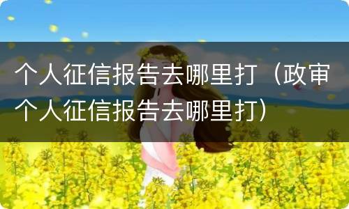 个人征信报告去哪里打（政审个人征信报告去哪里打）