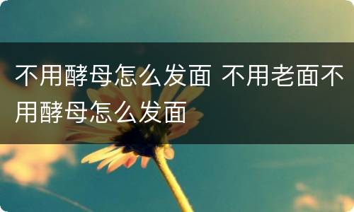 不用酵母怎么发面 不用老面不用酵母怎么发面