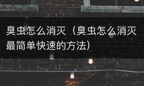 臭虫怎么消灭（臭虫怎么消灭最简单快速的方法）