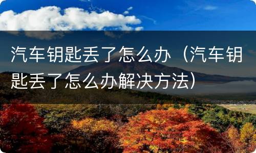 汽车钥匙丢了怎么办（汽车钥匙丢了怎么办解决方法）