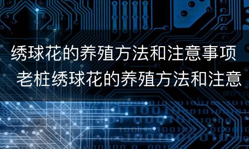 绣球花的养殖方法和注意事项 老桩绣球花的养殖方法和注意事项