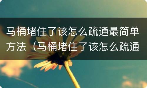 马桶堵住了该怎么疏通最简单方法（马桶堵住了该怎么疏通最简单方法大便）