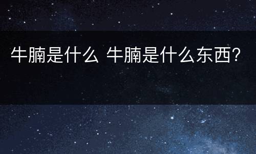 牛腩是什么 牛腩是什么东西?