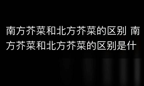 南方芥菜和北方芥菜的区别 南方芥菜和北方芥菜的区别是什么