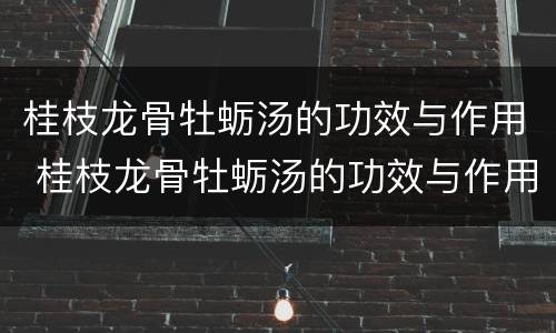 桂枝龙骨牡蛎汤的功效与作用 桂枝龙骨牡蛎汤的功效与作用组成