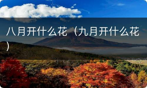 八月开什么花（九月开什么花）