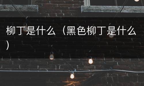 柳丁是什么（黑色柳丁是什么）