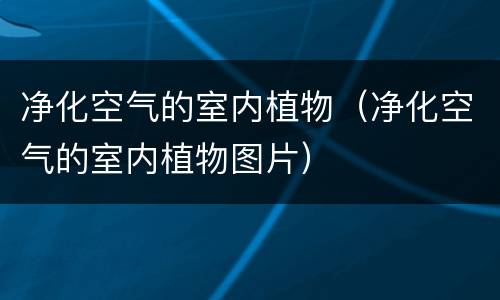 净化空气的室内植物（净化空气的室内植物图片）