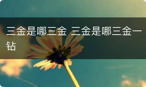 三金是哪三金 三金是哪三金一钻