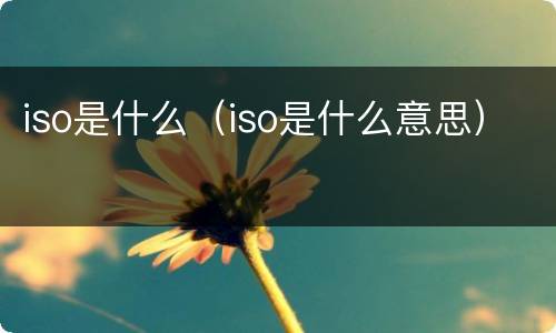 iso是什么（iso是什么意思）