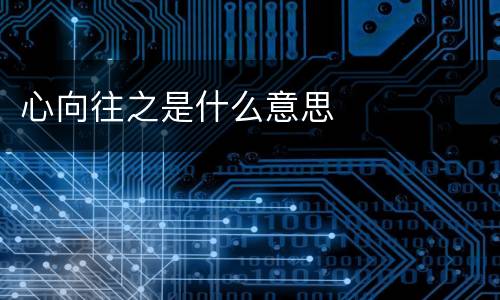 心向往之是什么意思