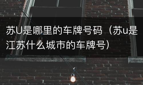 苏U是哪里的车牌号码（苏u是江苏什么城市的车牌号）