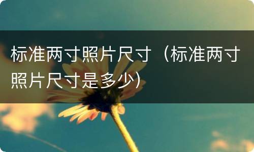 标准两寸照片尺寸（标准两寸照片尺寸是多少）