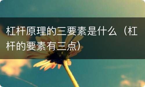 杠杆原理的三要素是什么（杠杆的要素有三点）