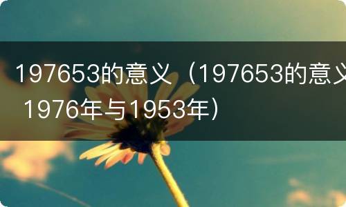 197653的意义（197653的意义 1976年与1953年）