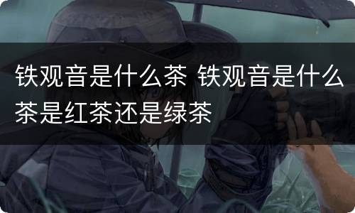 铁观音是什么茶 铁观音是什么茶是红茶还是绿茶