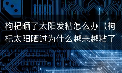 枸杞晒了太阳发粘怎么办（枸杞太阳晒过为什么越来越粘了）