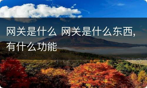 网关是什么 网关是什么东西,有什么功能