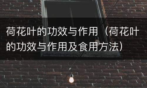 荷花叶的功效与作用（荷花叶的功效与作用及食用方法）