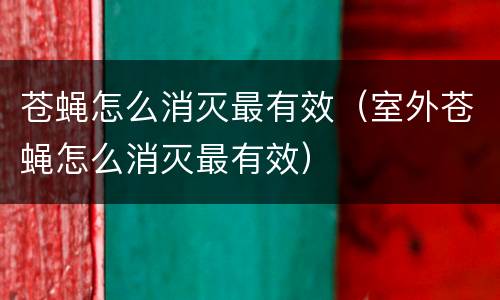 苍蝇怎么消灭最有效（室外苍蝇怎么消灭最有效）