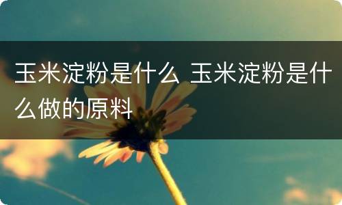 玉米淀粉是什么 玉米淀粉是什么做的原料