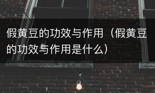 假黄豆的功效与作用（假黄豆的功效与作用是什么）