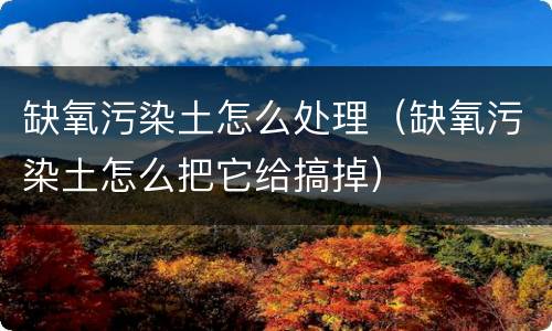 缺氧污染土怎么处理（缺氧污染土怎么把它给搞掉）