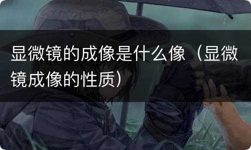 显微镜的成像是什么像（显微镜成像的性质）