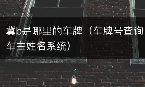 冀b是哪里的车牌（车牌号查询车主姓名系统）