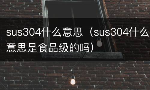 sus304什么意思（sus304什么意思是食品级的吗）