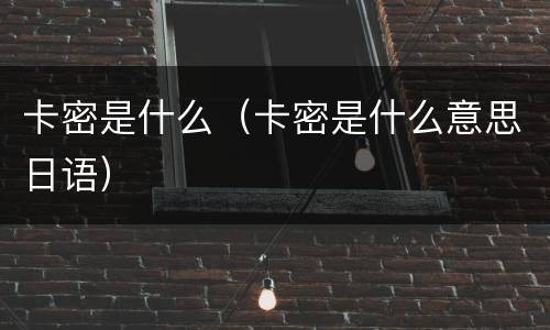 卡密是什么（卡密是什么意思日语）