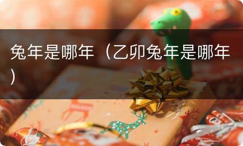 兔年是哪年（乙卯兔年是哪年）