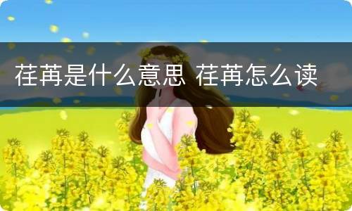 荏苒是什么意思 荏苒怎么读