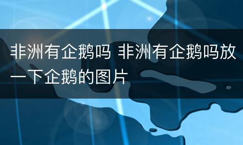 非洲有企鹅吗 非洲有企鹅吗放一下企鹅的图片