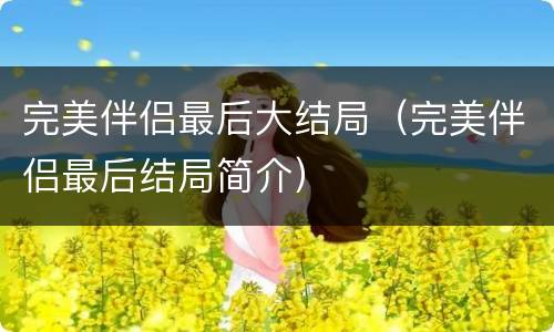 完美伴侣最后大结局（完美伴侣最后结局简介）
