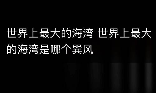 世界上最大的海湾 世界上最大的海湾是哪个巽风