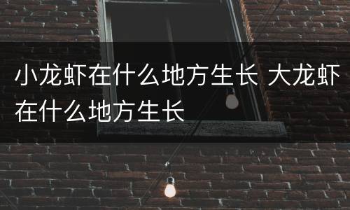 小龙虾在什么地方生长 大龙虾在什么地方生长