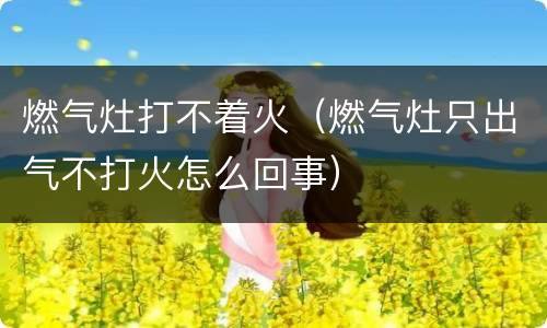 燃气灶打不着火（燃气灶只出气不打火怎么回事）
