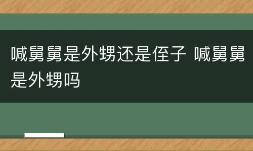 喊舅舅是外甥还是侄子 喊舅舅是外甥吗