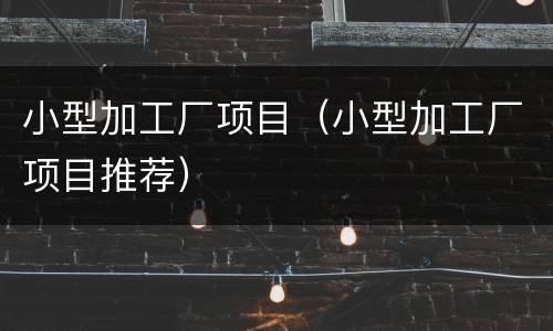 小型加工厂项目（小型加工厂项目推荐）