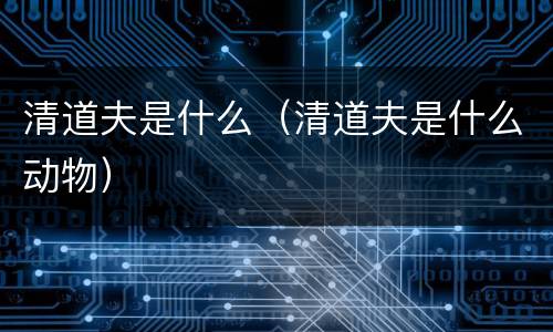 清道夫是什么（清道夫是什么动物）