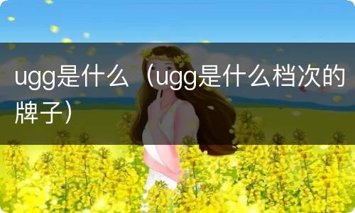 ugg是什么（ugg是什么档次的牌子）
