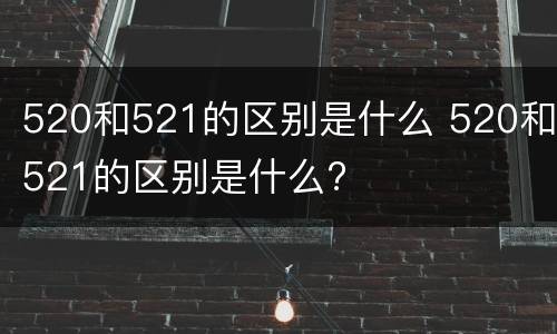 520和521的区别是什么 520和521的区别是什么?