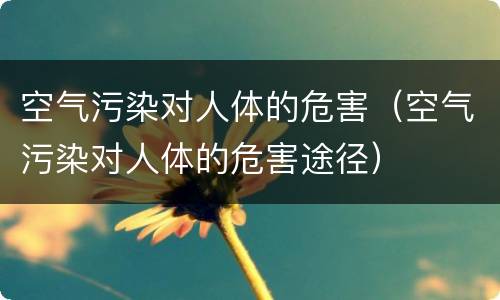 空气污染对人体的危害（空气污染对人体的危害途径）