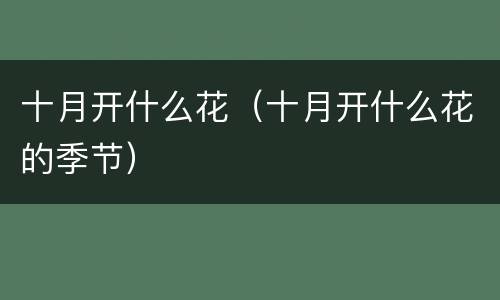 十月开什么花（十月开什么花的季节）