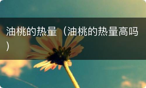 油桃的热量（油桃的热量高吗）